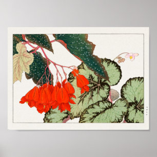 Begonia by Tanigami Konan Poster