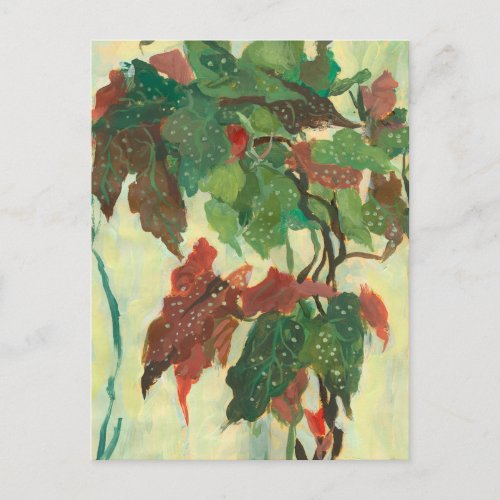 Begonia Maculata Home Garden Plant Floral Painting Postcard