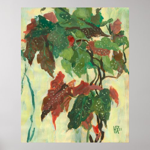 Begonia Maculata Home Garden Plant Floral Painting Poster