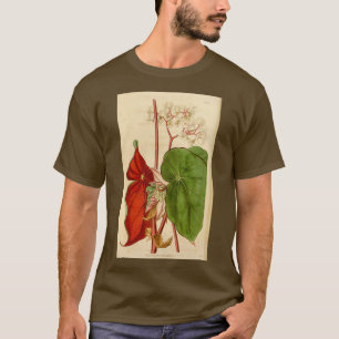 Begonia sanguinea T-Shirt