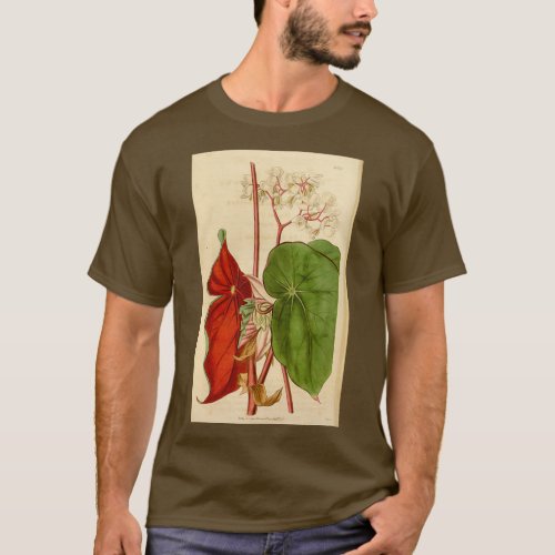 Begonia sanguinea T_Shirt