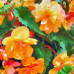 BEGONIAS BELT BUCKLE<br><div class="desc">A pretty watercolor of yellow and pink begonias.</div>