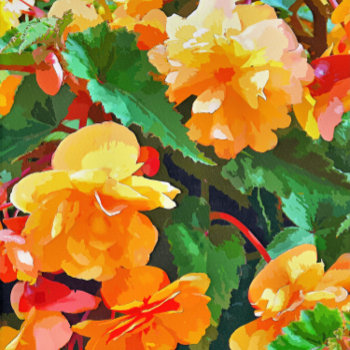 Begonias Card by flutterbuycards at Zazzle
