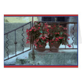 Begonias in Ljubjlana (Front Horizontal)