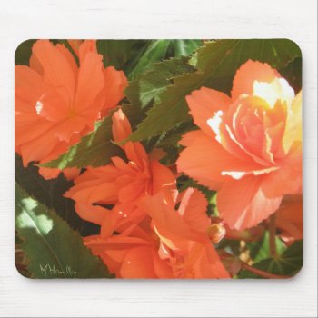 Begonias Photo Mousepad by lifethroughalens at Zazzle