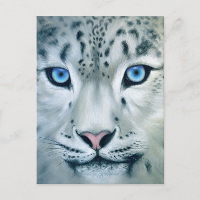 Behind Blue Eyes - Snow Leopard Postcard (Front)