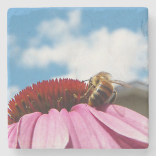 Behind the Bee Stone Coaster