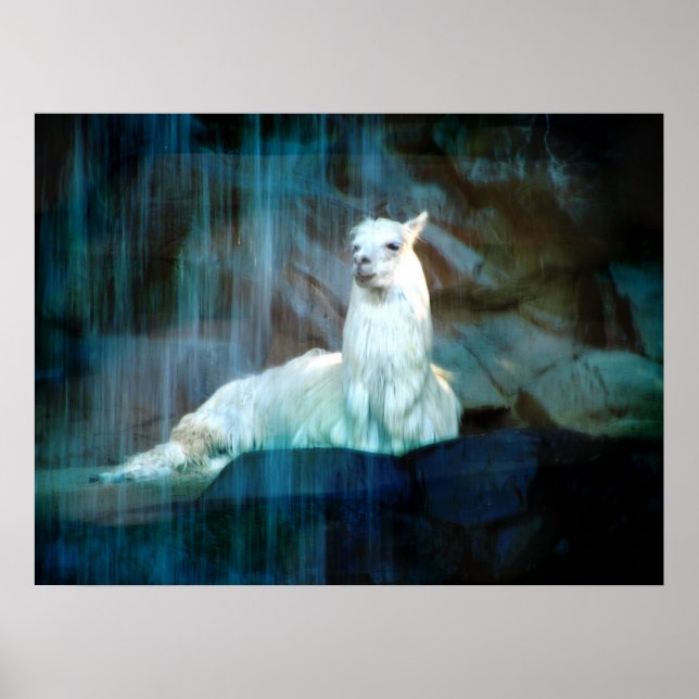 Behind the Falls Poster (Front)