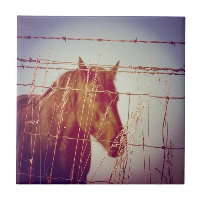 Behind the Fence Abstract Horse Ceramic Tile (Front)