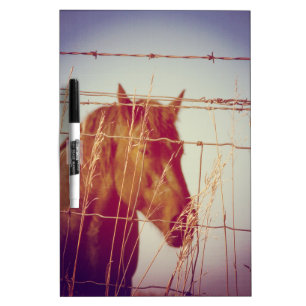 Behind the Fence Abstract Horse Dry-Erase Board