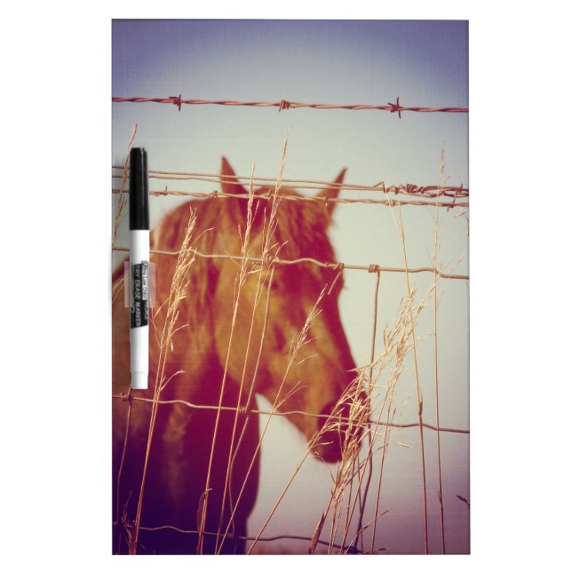 Behind the Fence Abstract Horse Dry-Erase Board (Front)