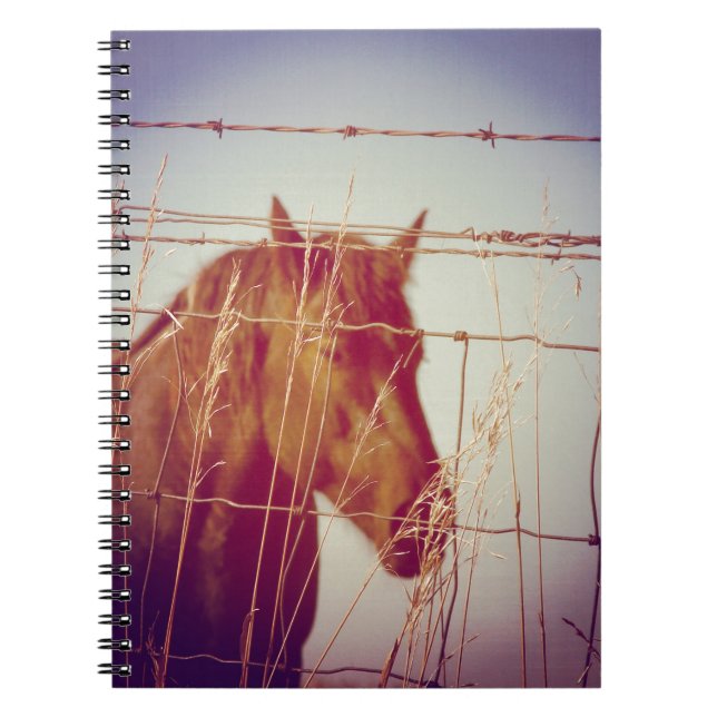 Behind the Fence Abstract Horse Notebook (Front)