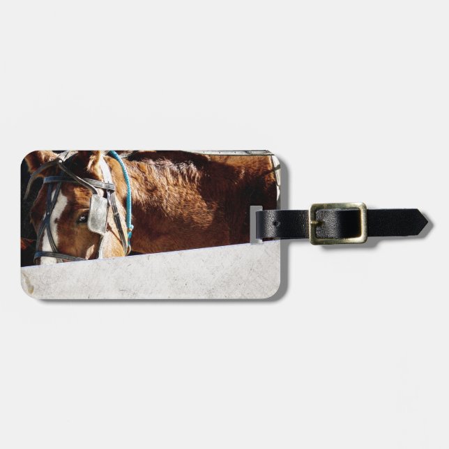 Behind the Fence Amish Horse Luggage Tag (Front Horizontal)