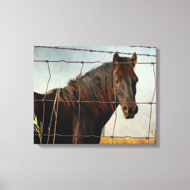 Behind the Fence Canvas Print (Front)