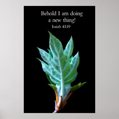 Behold I am doing new thing Poster