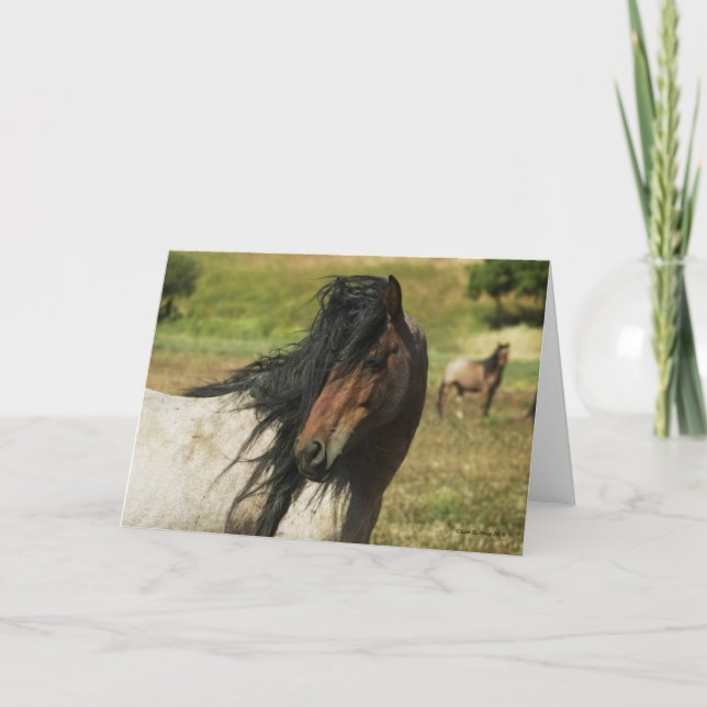 Behold the Beauty Card (Front)