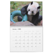 Bei Bei 2022 Calendar (Jan 2025)