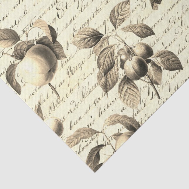 Beige Botanical Vintage Fruit with Script Tissue Paper (Detail)