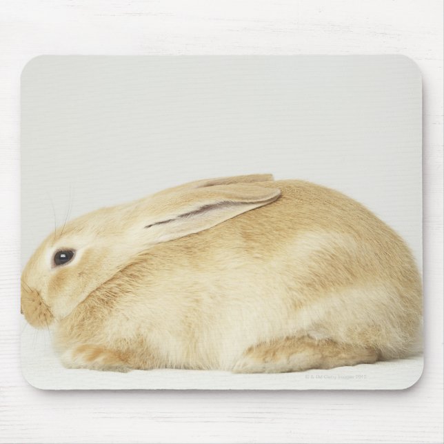 Beige bunny rabbit on white background 4 mouse pad (Front)