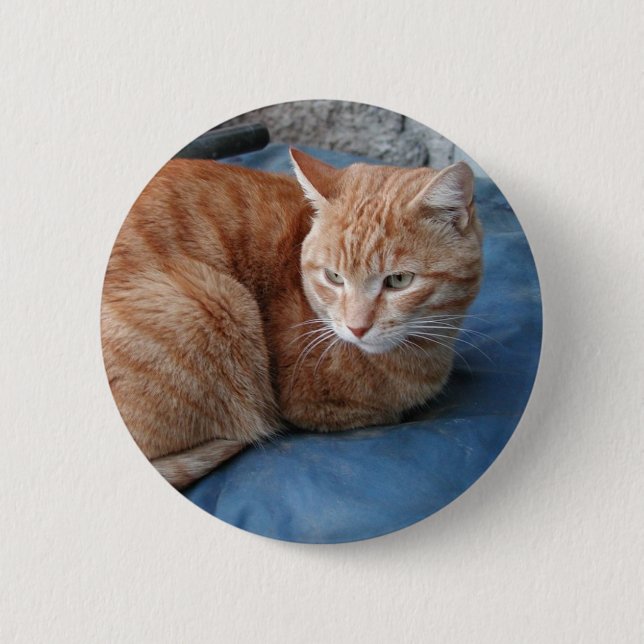Beige Cat Button (Front)