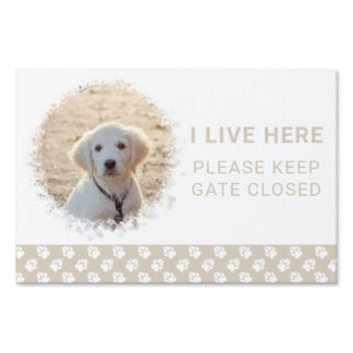 Beige Custom Pet Photo Template I Live Here &amp; Paws Sign