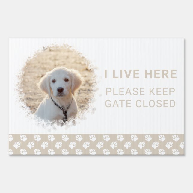 Beige Custom Pet Photo Template I Live Here & Paws Sign (Front)