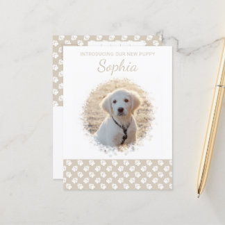 Beige Custom Puppy Photo Introduction Template