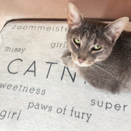 Beige Flat Soft Cat Bed Mat Pet Name + Nickname