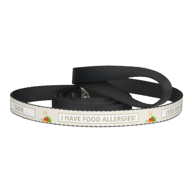 Beige Food Allergies Custom Info & Cartoon Foods Pet Leash (Handle)