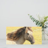 Beige Horse Profile (Standing Front)