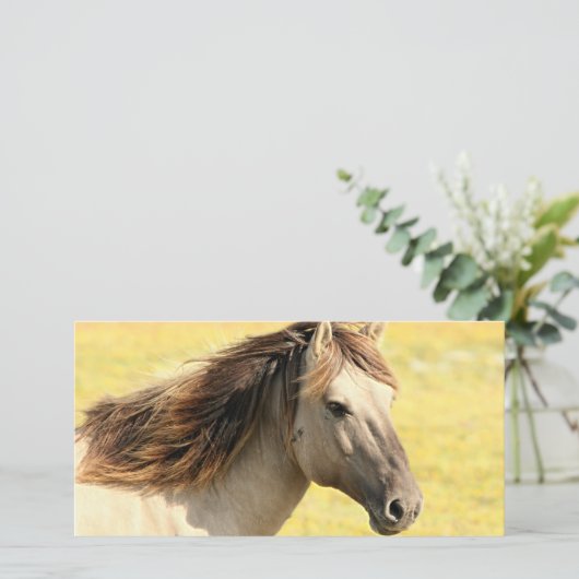 Beige Horse Profile (Standing Front)