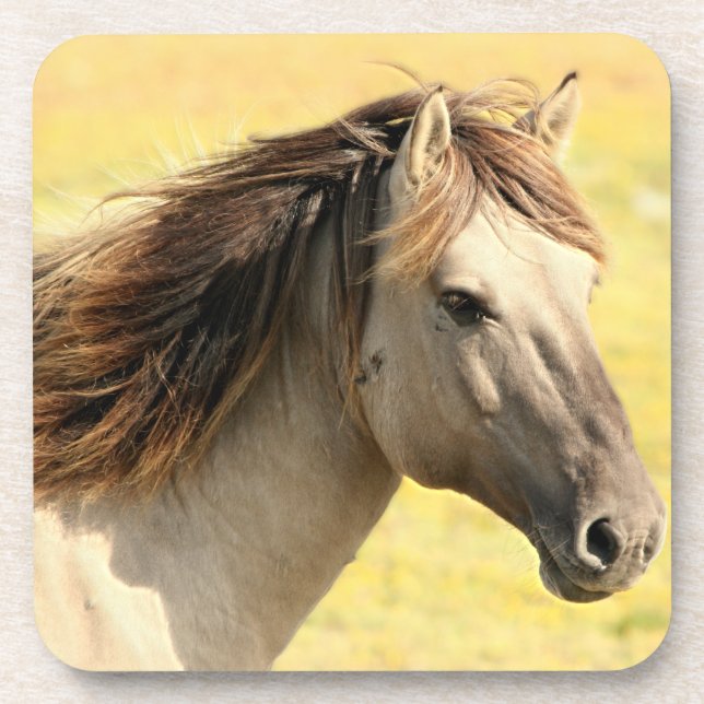 Beige Horse Profile Beverage Coaster (Front)