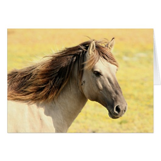 Beige Horse Profile Cards (Front Horizontal)