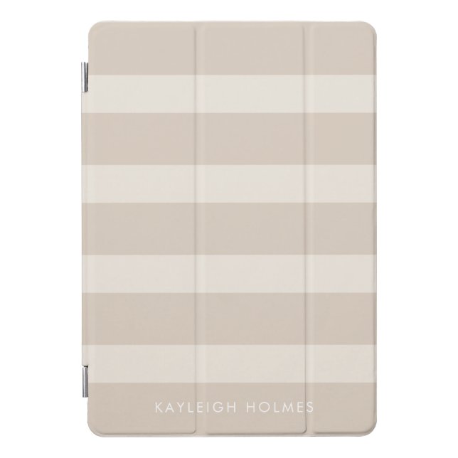 Beige Minimalist Striped iPad Pro Cover (Front)