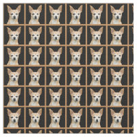 Beige painted chihuahua on black background