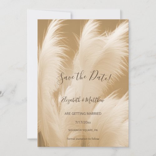 Beige Pampas Grass Photo Save The Date 