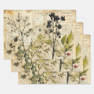 Beige Vintage Watercolor Natural Wildflower Wrapping Paper Sheets