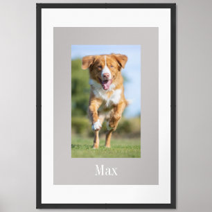 Beige White Custom Pet Framed Art