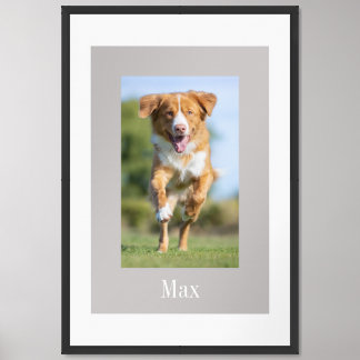 Beige White Custom Pet Framed Art