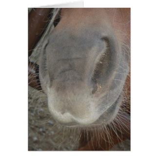 BEIN' NOSEY CARDS
