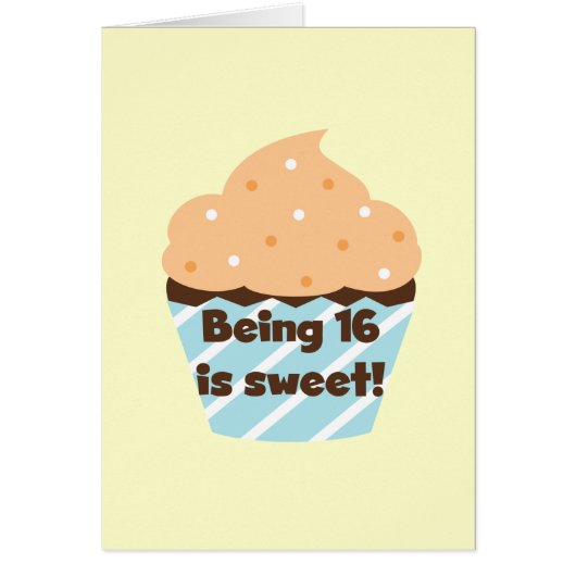 Being 16 is Sweet Birthday T shirts and Gifts (Front)