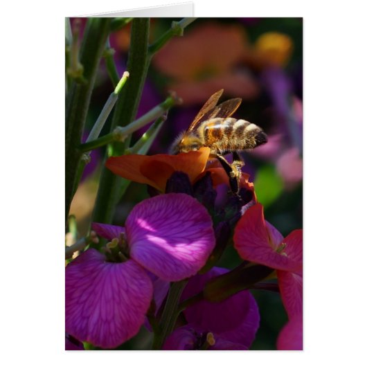 Be'ing a Busy Bee! Cards (Front)