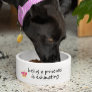 Being a Princess is Exhausting Dog Funny Humor Pet Bowl