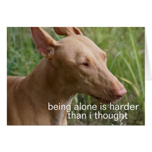 being alone dog cards (Front Horizontal)