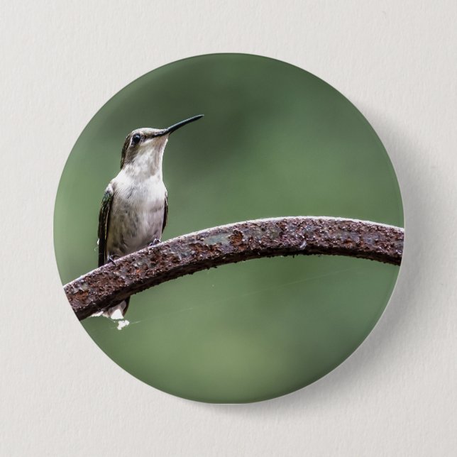 Being Little Hummingbird Button (Front)