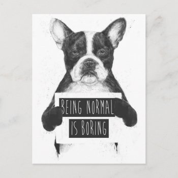 Being Normal Is Boring Postcard by bsolti at Zazzle