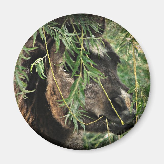 Being Onery Magnet (Front)