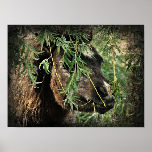 Being Onery Mini Filly Under the Willow Tree Poster (Front)