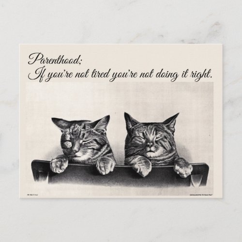 Being Tired and Being a Parent Sleepy Cats Postcard