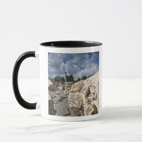 Beit She_An National Park Roman_era ruins Mug